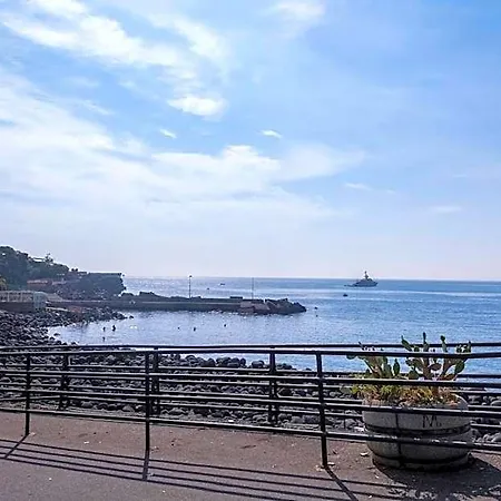 Vico Li Cuti