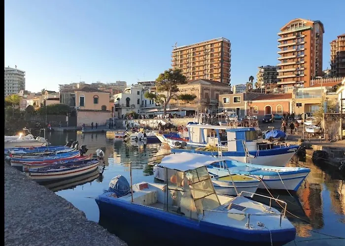 Vico Li Cuti